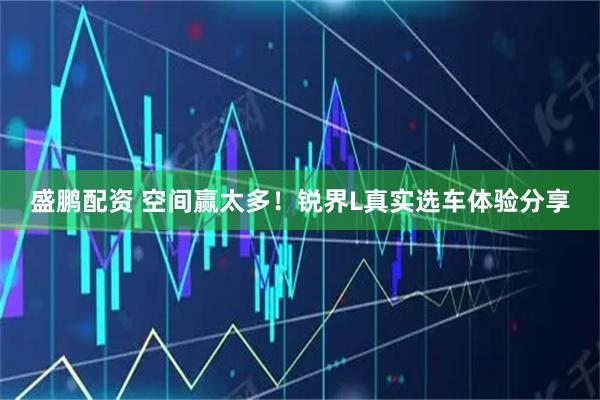盛鹏配资 空间赢太多！锐界L真实选车体验分享
