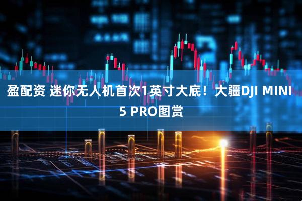 盈配资 迷你无人机首次1英寸大底！大疆DJI MINI 5 PRO图赏