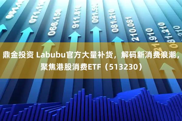 鼎金投资 Labubu官方大量补货，解码新消费浪潮，聚焦港股消费ETF（513230）