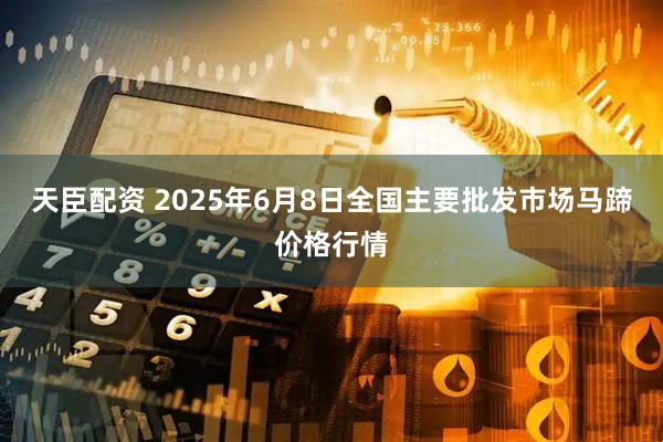 天臣配资 2025年6月8日全国主要批发市场马蹄价格行情