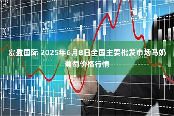 宏盈国际 2025年6月8日全国主要批发市场马奶葡萄价格行情