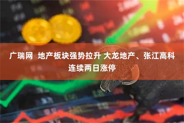 广瑞网  地产板块强势拉升 大龙地产、张江高科连续两日涨停